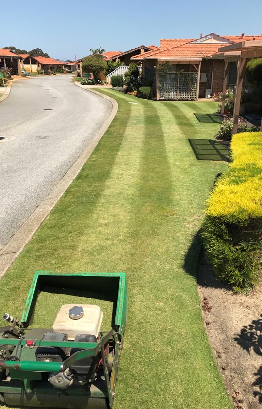 olivers-landscaping-commercial-lawn-care